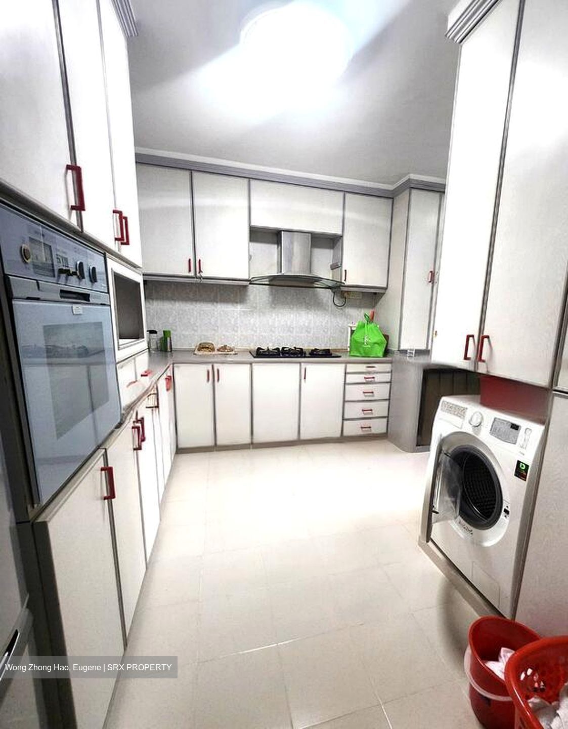 Blk 110 Mcnair Spring (Kallang/Whampoa), HDB Executive #460919881